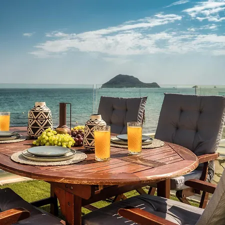 Violet Front Private